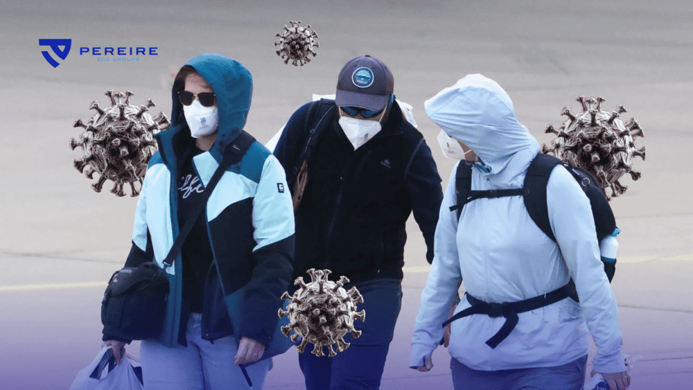 Hantavirus - Symptômes, transmission et gestes barrières à connaître en 2026 - Pereire Assurances - pereire.co