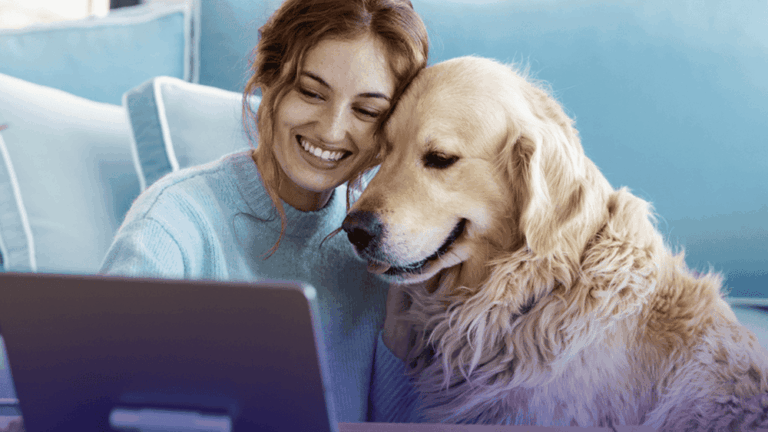 Assurance chiens et chats Le guide pour soigner votre animal sans vous ruiner en 2026