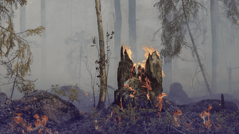 Incendies dans le Sud-Ouest - ce que couvre vraiment votre assurance habitation si votre maison est détruite - Pereire Assuranes - pereire.co