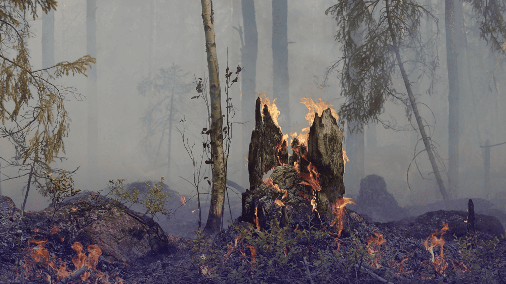 Incendies dans le Sud-Ouest - ce que couvre vraiment votre assurance habitation si votre maison est détruite - Pereire Assuranes - pereire.co